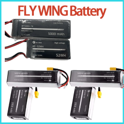 Rc Helicopter Bag - Batterie LiPo FLY WING FW450 FW450L